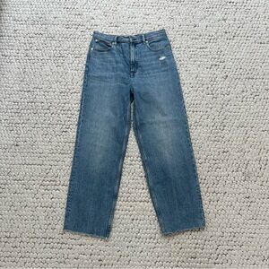 Everlane The Way High Jean
